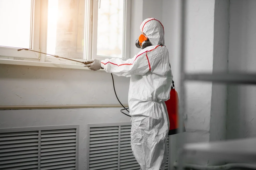 Professional mold remediation services in Enumclaw, WA